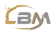 LITE STAR BUILDING MATERIALS TRADING LLC FZ
